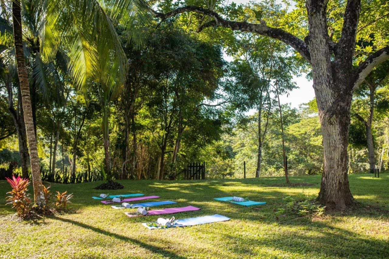 Sweet Songs Jungle Lodge San Ignacio Exterior photo