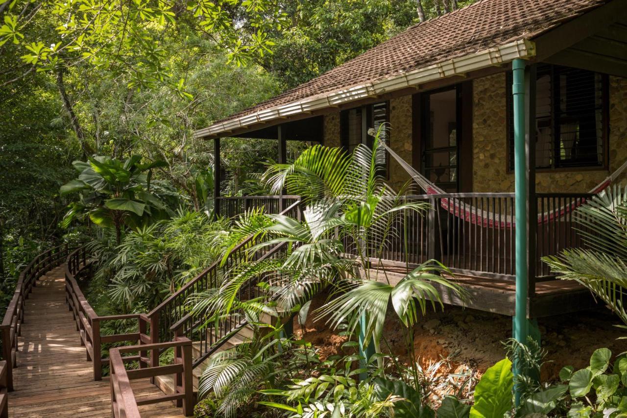 Sweet Songs Jungle Lodge San Ignacio Exterior photo