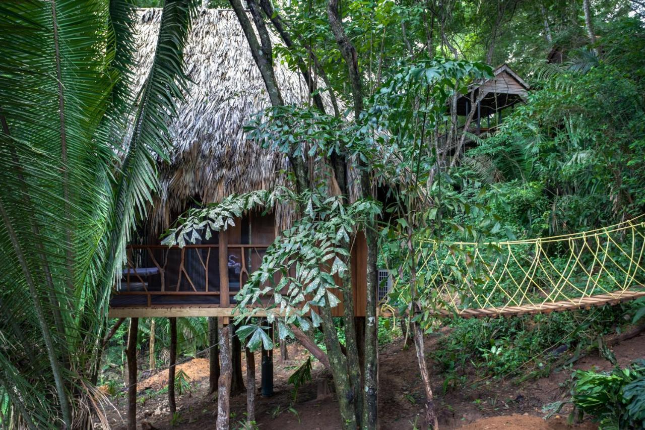 Sweet Songs Jungle Lodge San Ignacio Exterior photo
