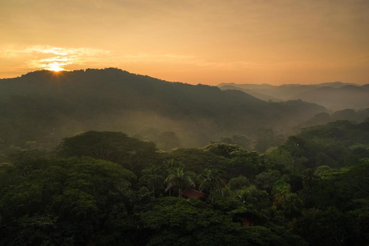 Sweet Songs Jungle Lodge San Ignacio Exterior photo