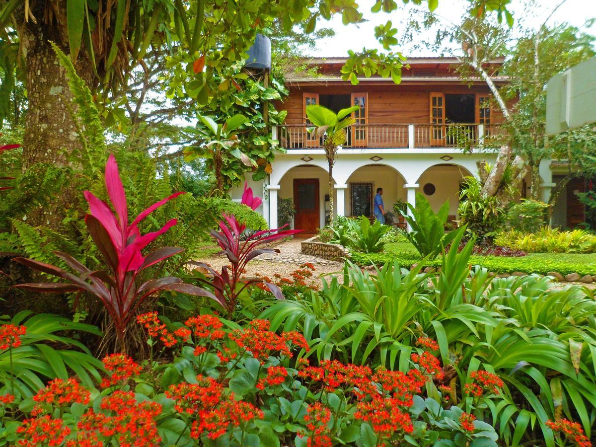 Sweet Songs Jungle Lodge San Ignacio Exterior photo