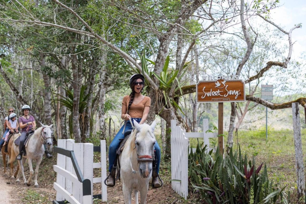 Sweet Songs Jungle Lodge San Ignacio Exterior photo