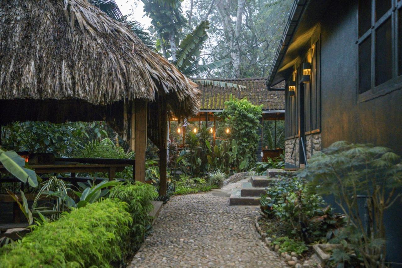 Sweet Songs Jungle Lodge San Ignacio Exterior photo